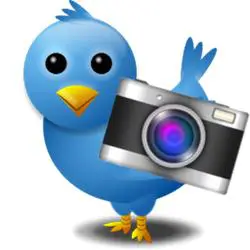 How to stop Twitter users tagging you in photos
