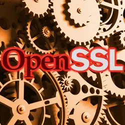OpenSSL patched against high severity denial-of-service bug, and other flaws